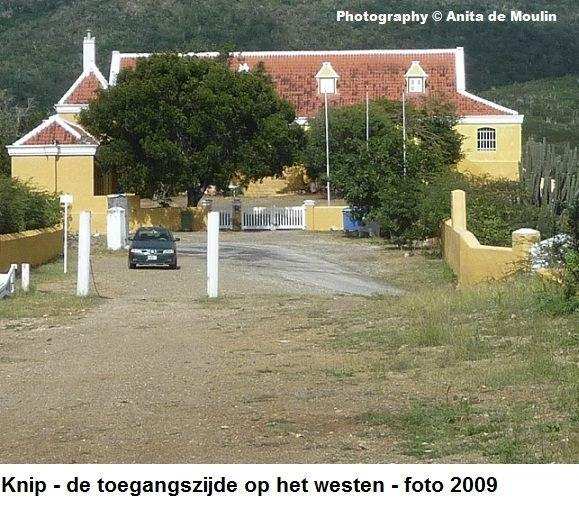 10. Knip toegangszijde op het westen 2009